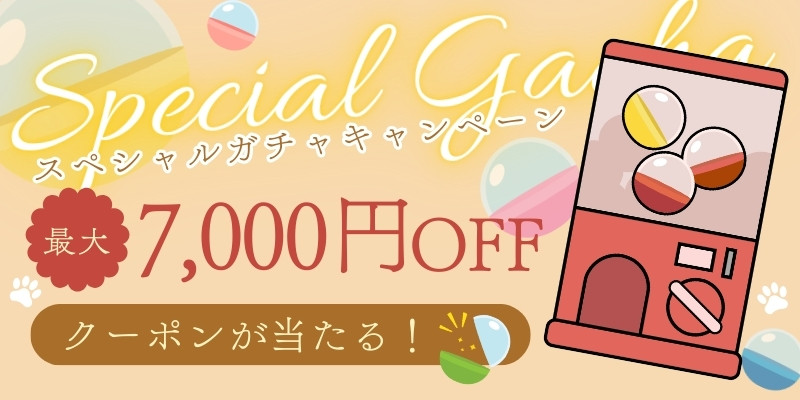 スペシャルガチャキャンペーン