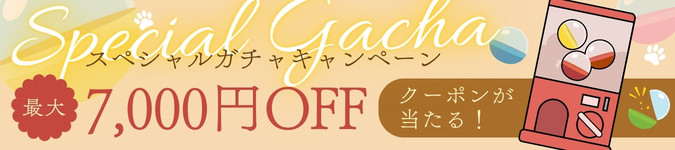 スペシャルガチャキャンペーン