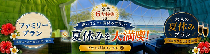 選べる２つの夏休みプラン